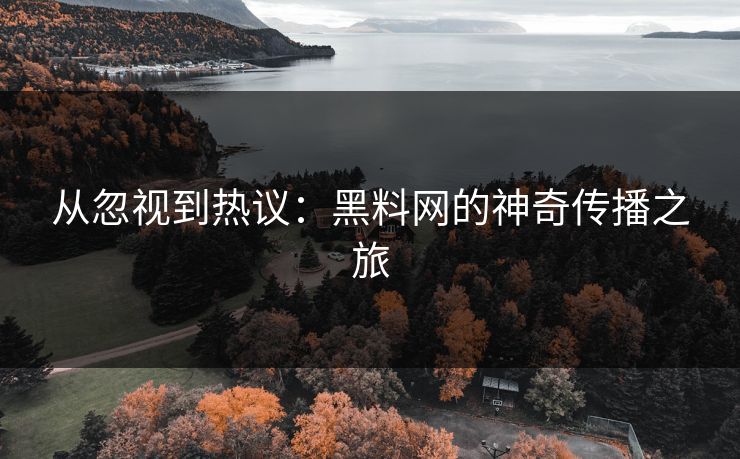 从忽视到热议：黑料网的神奇传播之旅