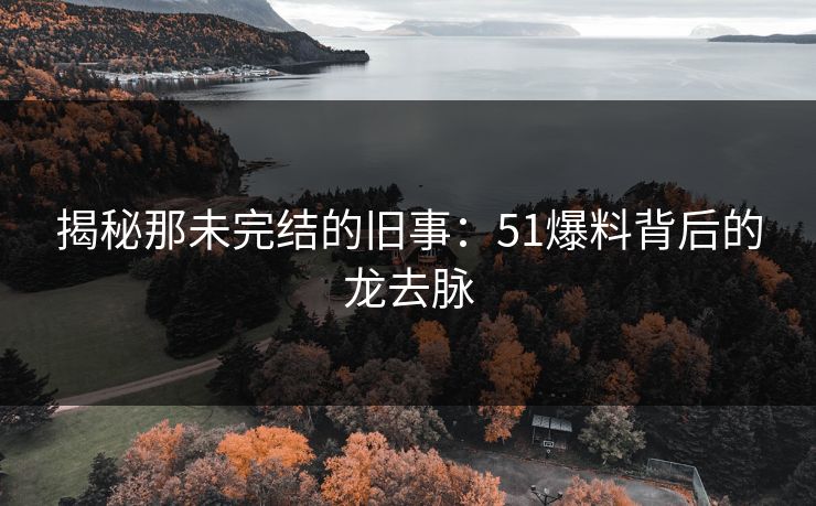揭秘那未完结的旧事：51爆料背后的龙去脉