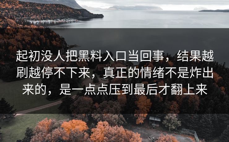 起初没人把黑料入口当回事,结果越刷越停不下来,真正的情绪不是炸出来的,是一点点压到最后才翻上来