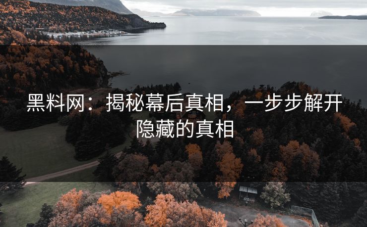 黑料网：揭秘幕后真相，一步步解开隐藏的真相